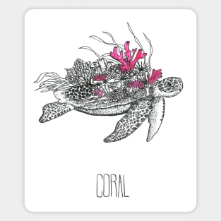 Coral turtle Magnet